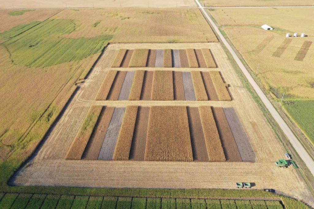 WCS-FARM field photo 6