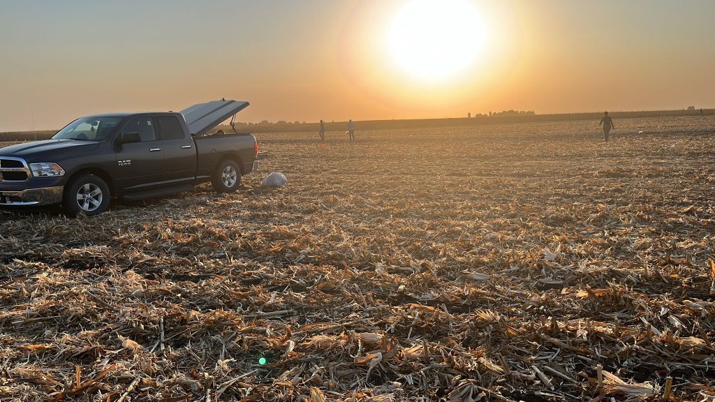 WCS-FARM field photo 7