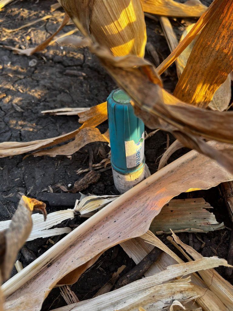 WCS-FARM field photo 8