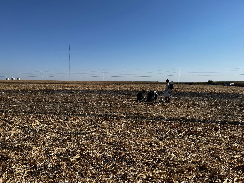 WCS-FARM field photo 15
