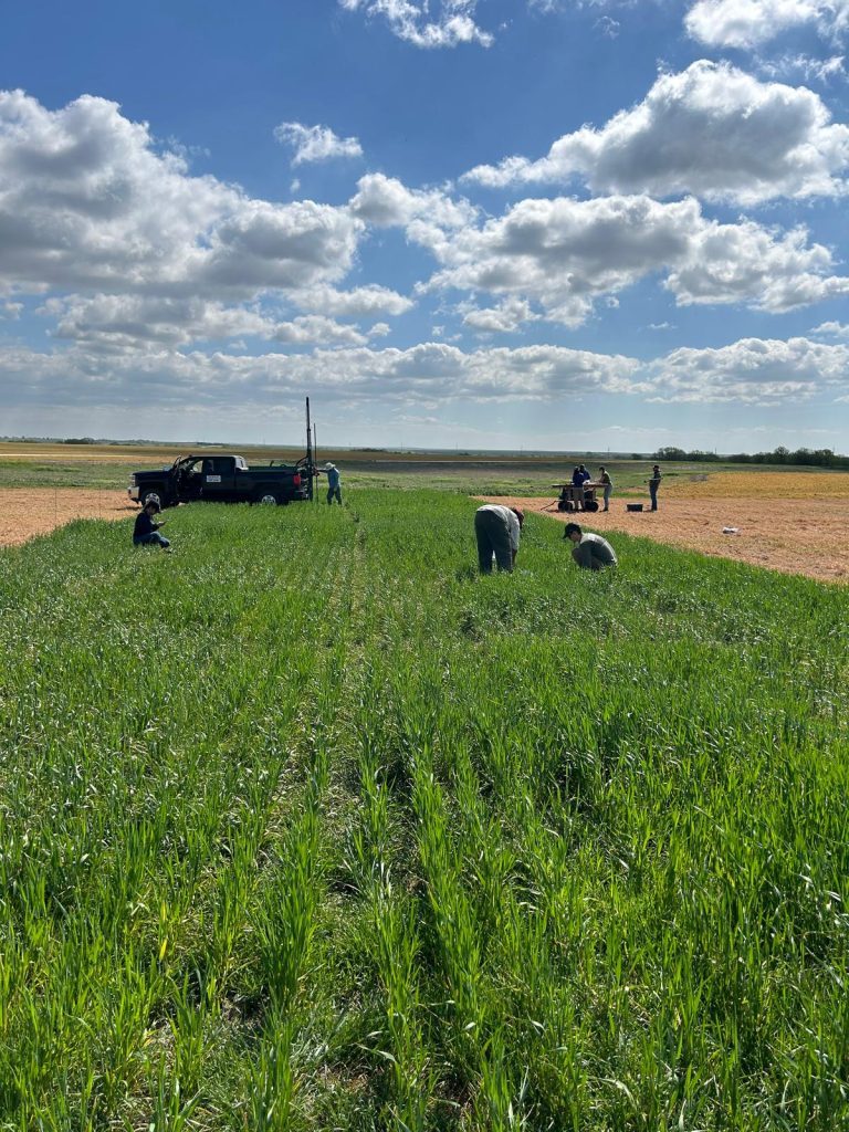 WCS-FARM field photo 20