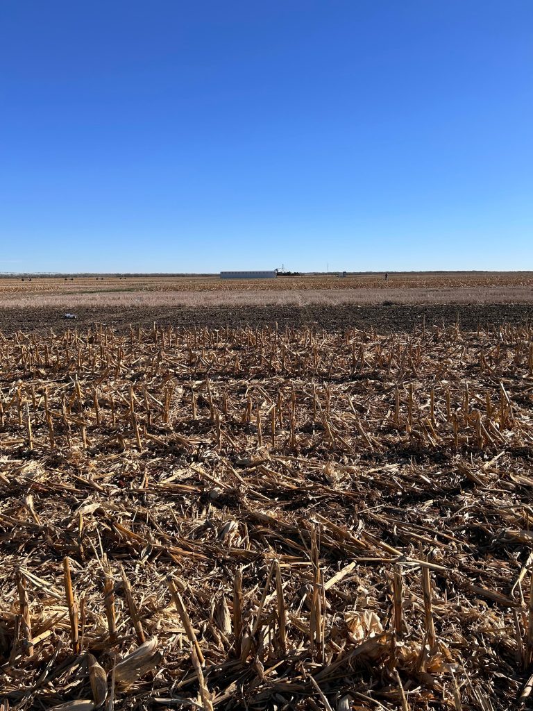 WCS-FARM field photo 27