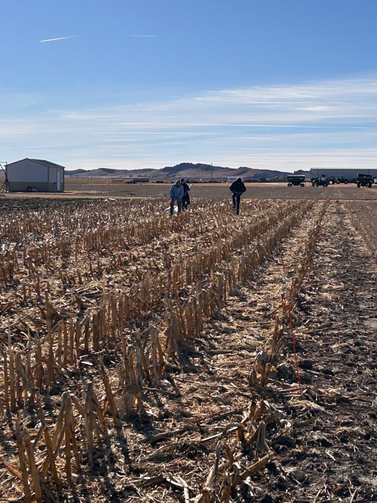 WCS-FARM field photo 29